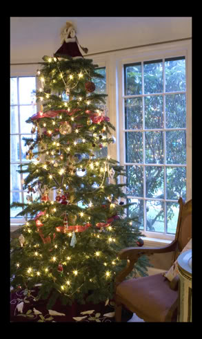 You must read this post for Christmas tree photo tips from Me Ra Koh, The Photo Mom