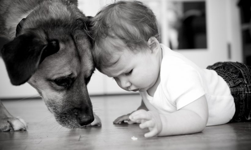 Cutest photo tips for baby and dog