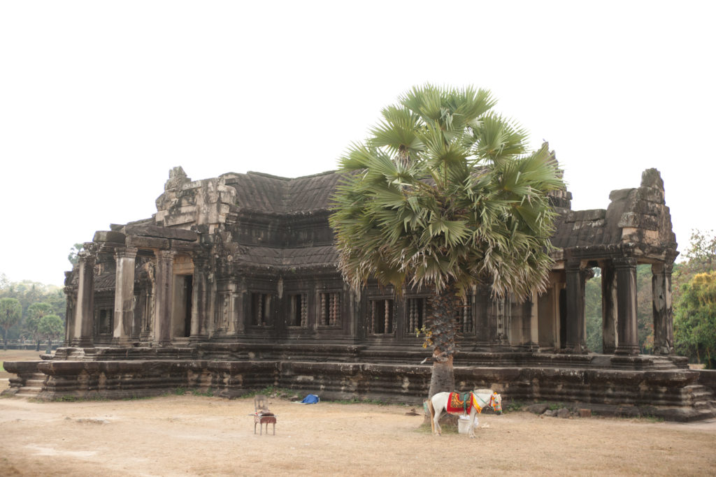 Seeing beyond the light when taking travel photos.  Searching for story elements with Me Ra Koh in Angkor Wat Cambodia. 