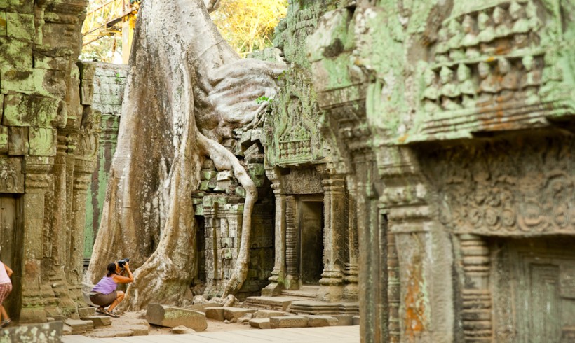 Jungle Temple in Angkor Wat