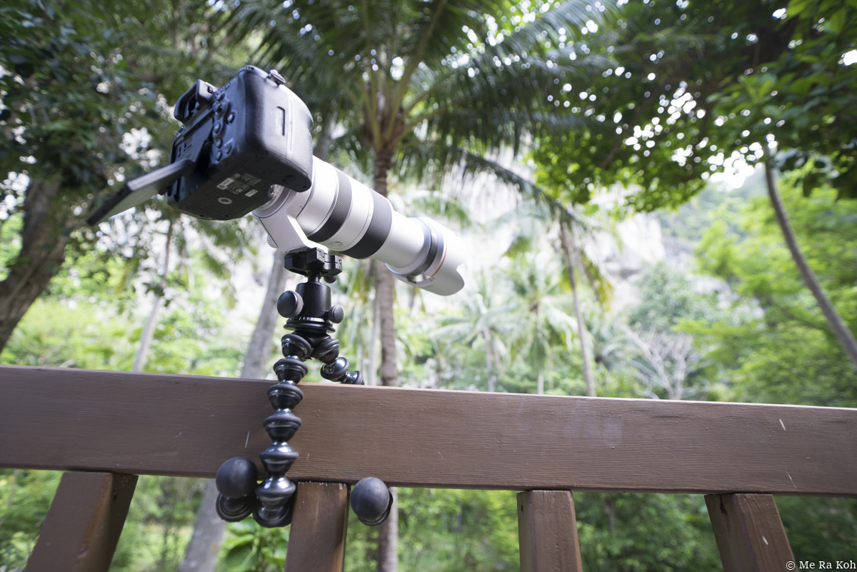 Fun to see the set up for photographing wildlife in Thailand's jungle!