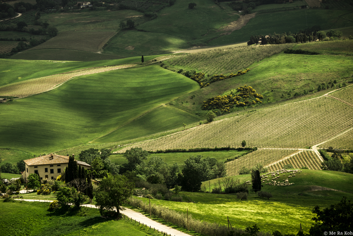See what's in Me Ra Koh's camera bag for travel photography when capturing Tuscany landscape.