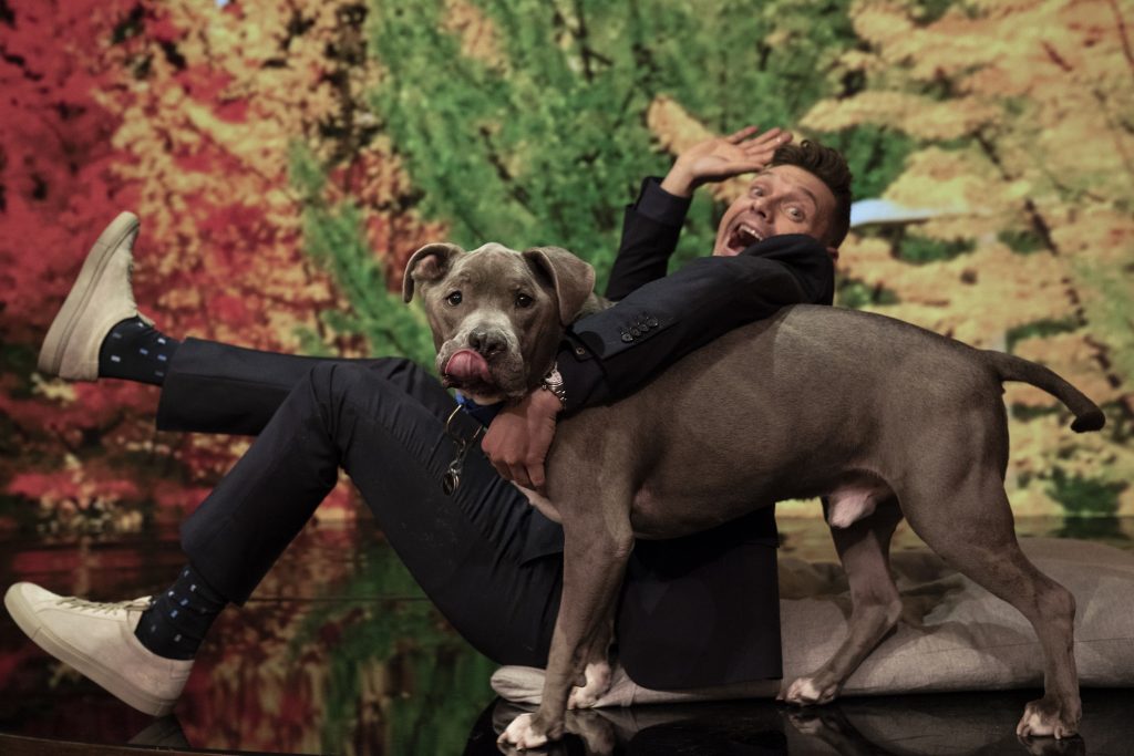 Me Ra Koh Demonstrates Pet Photo Tips on Live with Kelly and Ryan