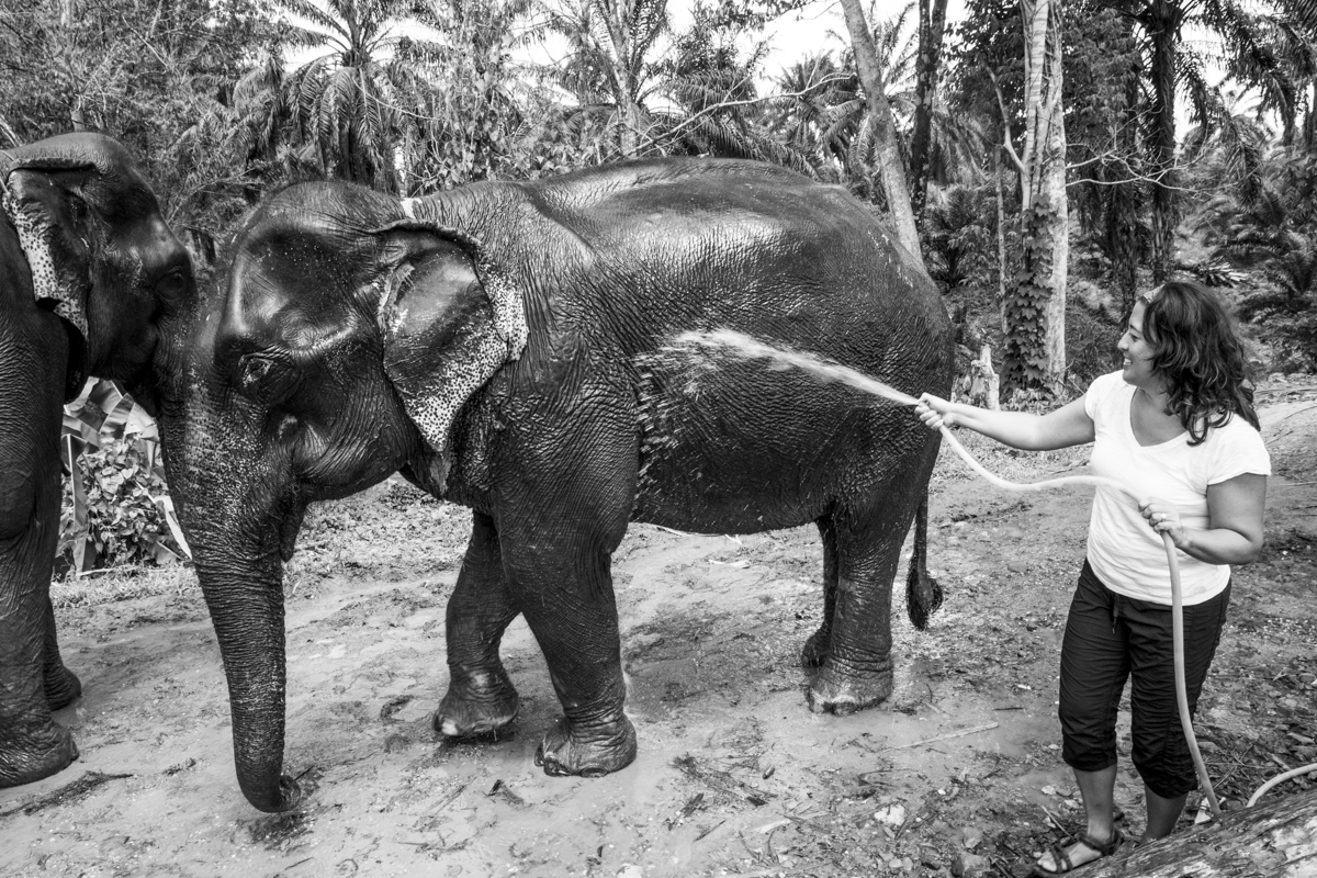 Walking with elephants and bathing them in Thailand. Portrait of the World Photography and Travel Workshops with Me Ra Koh and Brian Tausend.