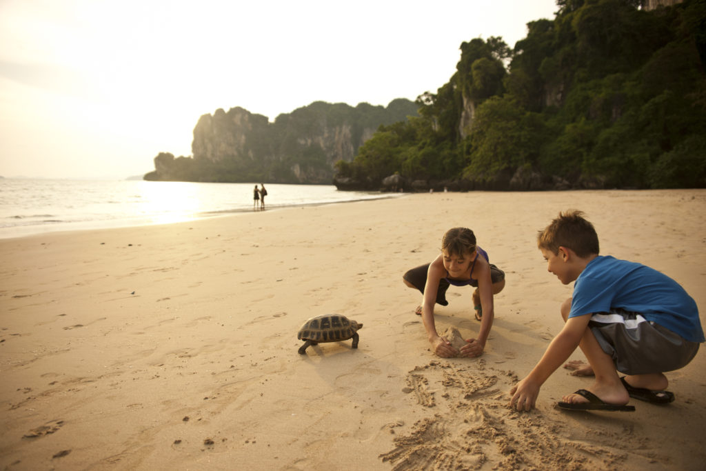 Turtle pet in Thailand on the beach with kids. Me Ra Koh, Sony Artisan and Disney's Photo Mom